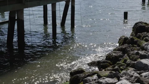 Sparkling waves wash through an inlet of jagged mossy green sea kelp covered Stock Footage 242310067