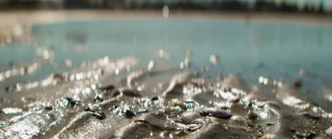 Sparkling wet sand and seashells on a coastal beach in bright sunlight Stock Footage 337792824