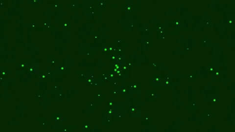 Sparkling white dust particles floating in deep magic forest background video Stock Footage 341058593
