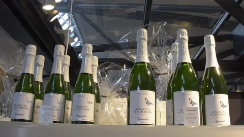 Sparkling white vines on display Video stock 92936714