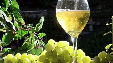 Sparkling White Wine Stock Footage 44519021