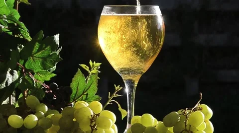 Sparkling White Wine Stock Footage 44519091