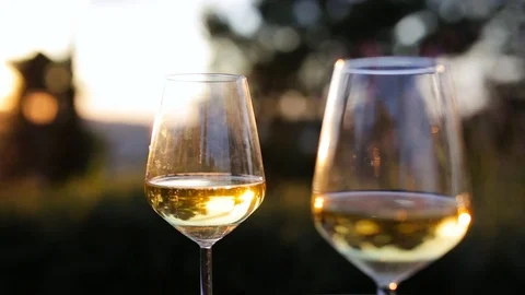 Sparkling white wine at sunset 2 Stock Footage 92125353