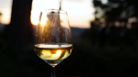 Sparkling white wine at sunset Stock Footage 92125330