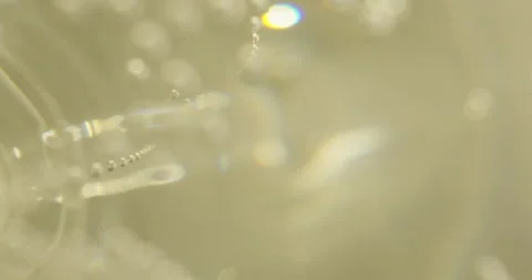 Sparkling wine 6 Video stock 171965818