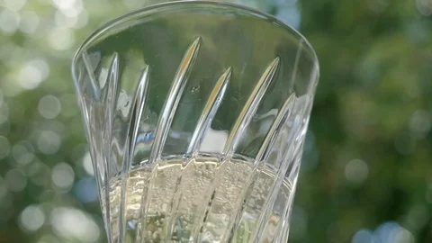 Sparkling Wine Bubbles in a Champagne Flute to Celebrate a Special Occasion Stock Footage 76204635