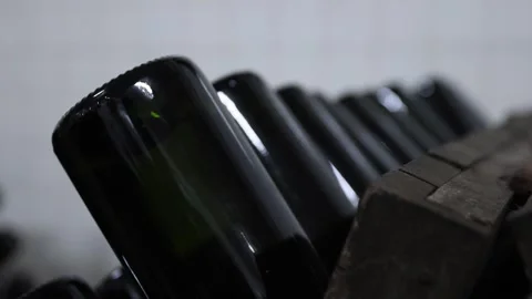 Sparkling winee Bottles in a Cellar Stock Footage 310266232