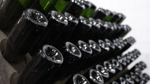 Sparkling winee Bottles in a Cellar Stock Footage 310266234