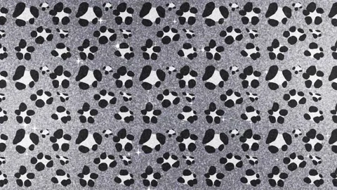 Sparkly Leopard Print Animation Stock Footage 317940156