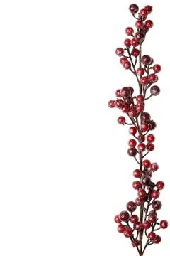 Sparkly red and silver berries on branch isolated background Stock Illustration