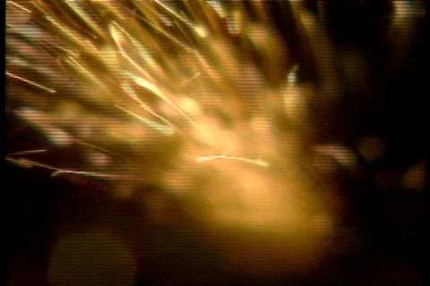 Sparks on Black Stock Footage 112704