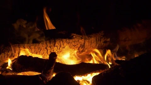 Sparks from a burning tree fly to the top Stock Footage 113006656