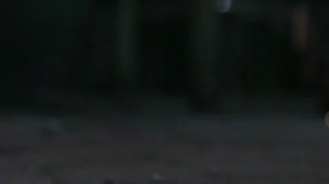 Sparks Falling 1 Vidéo 280839