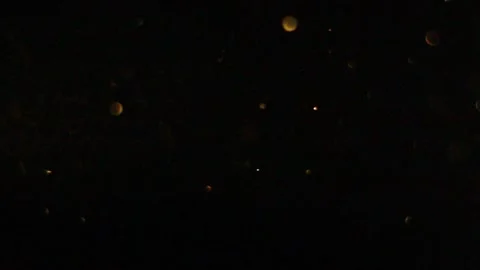 Sparks of fire in the darkness 13 Stock Footage 318314941