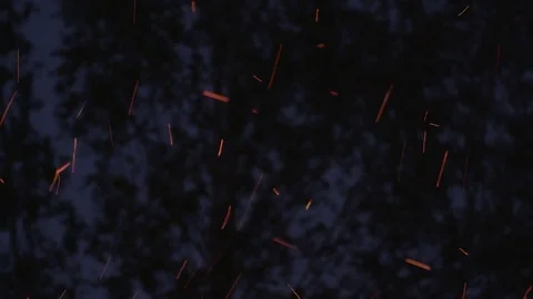 The sparks fly out of fire. Stock Footage 75004478