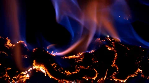 Sparks Video stock 908853