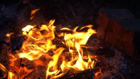 Sparks of a night bonfire Stock Footage 79577703