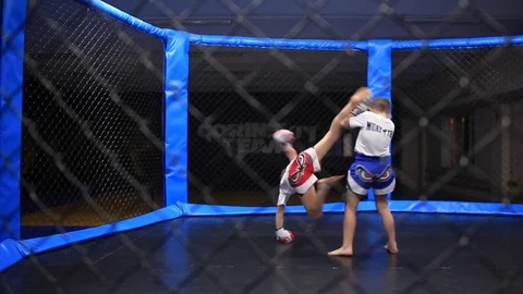 Sparring of little twins Video stock 71966428