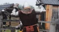 Sparring partners fighting with swords at training field, men enjoying hobby HD Footage