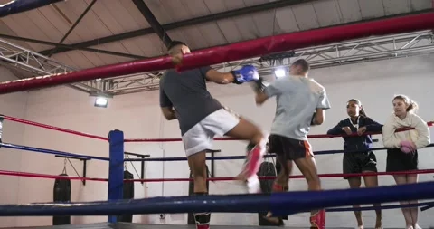 Sparring timer starting, Diverse male boxers throwing punches and blocking kicks Видео 345062057