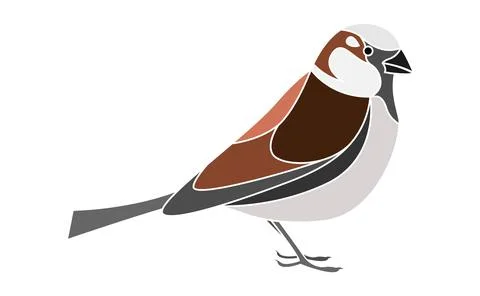 Sparrow bird isolated on white background EPS10 Stock Illustration