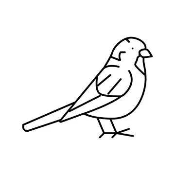 Sparrow bird line icon vector illustration Illustrazione stock