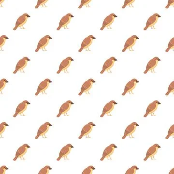Sparrow bird pattern representing nature and wildlife イラスト素材