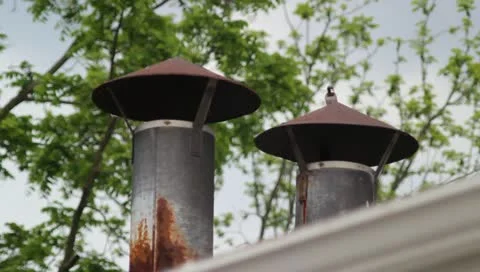Sparrow on Chimney Vidéo 11129776