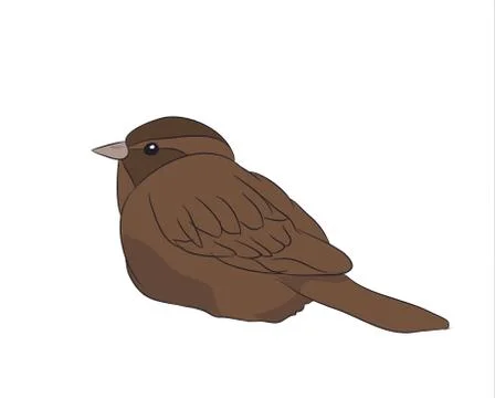 A sparrow of color. vector, Illustrazione stock