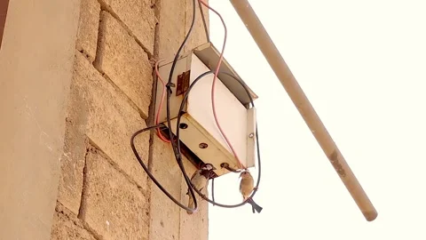 Sparrow couple nesting in electric box. urban wildlife and respectful behavior Stock Footage 312104407