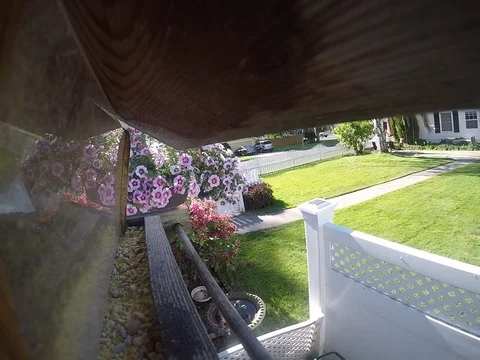 Sparrow at feeder Stock Footage 107351943