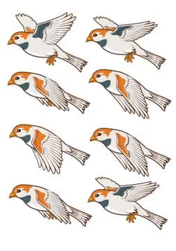 Sparrow Flying Animation Stock Illustration
