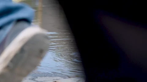 Sparrow is Having a Bath Stock Footage 294794219