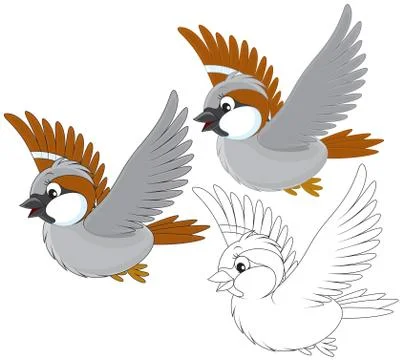 Sparrow Stock Illustration