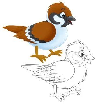 Sparrow Stock Illustration