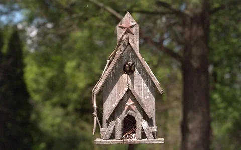 Sparrow Leaving Front 스톡 동영상 154518461