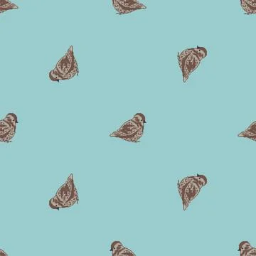 Sparrow pattern seamless. Small bird background. Baby fabric texture Stock Illustration
