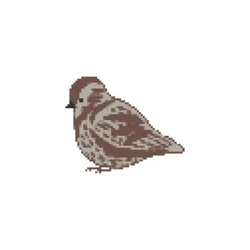 Sparrow pixel art. 8 bit Small bird. Vector illustration. イラスト素材