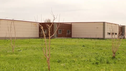 Sparrow red tail Stock Footage 194391395