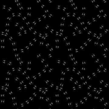 Sparrow track pattern Stock Illustration