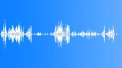 Sparrow weaver Sound Effect