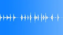 Sparrows 01Sound Effect