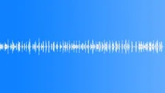 Sparrows 02 longSound Effect