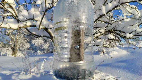 Sparrows at a bird feeder in winter Stock Footage 325720323
