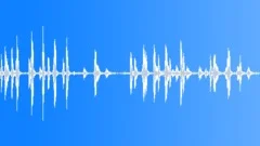 Sparrows chirping - loopingSound Effect