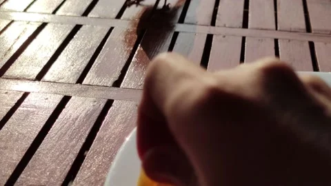 Sparrows eat in a restaurant Stock Footage 150384696