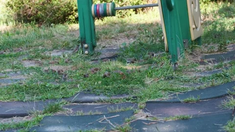 Sparrows gather around play area in local park during sunny afternoon Stock Footage 340828939