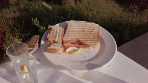 Sparrows peck at bread. Sandwich on a plate. Sparrow birds steal food. A plat Vídeos de archivo 199109717
