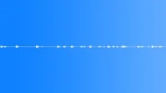 SparrowsSound Effect