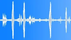 Sparrows Sound Effect